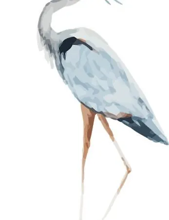 Penthaus Kranichholz *