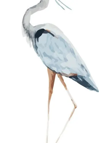 Penthaus Kranichholz *